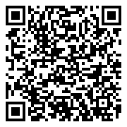 大当家之路-0.1折红包版-绿色服